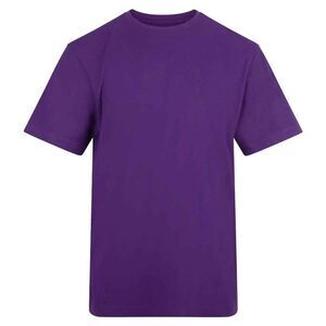 Awdis Unisex Adult T-Shirt / Purple